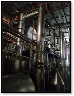 اسانس گیر (فراوری گیاهان دارویی)